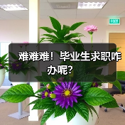 难难难！毕业生求职咋办呢？（图1）