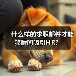 什么样的求职邮件才能够瞬间吸引HR？（图1）