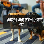 求职时如何优雅的谈薪资？（图3）