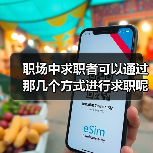职场中求职者可以通过那几个方式进行求职呢？（图1）