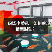 职场小蘑菇，如何度过暗黑时刻？（图4）