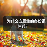 为什么应届生的身份很值钱？（图1）