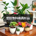 盛捷塑料模具制品（图3）