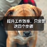 提升工作效率，只需要这四个步骤（图2）