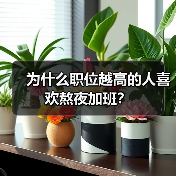 为什么职位越高的人喜欢熬夜加班？（图2）