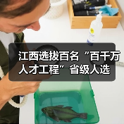 江西选拔百名“百千万人才工程”省级人选（图2）