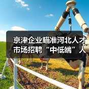 京津企业瞄准河北人才市场招聘“中低端”人才（图4）