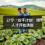 辽宁“双千计划”领军人才开始选拔（图4）