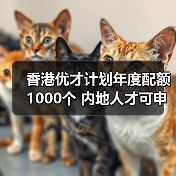 香港优才计划年度配额1000个 内地人才可申请（图1）