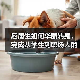 应届生如何华丽转身，完成从学生到职场人的迅速转变（图3）