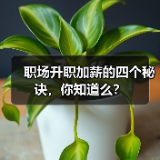 职场升职加薪的四个秘诀，你知道么？（图3）