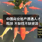 中国商业地产遭遇人才瓶颈 不缺钱不缺资源（图2）