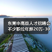 东莞中高级人才招聘会 不少职位年薪20万-30万元（图3）