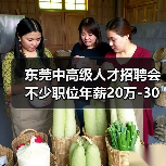 东莞中高级人才招聘会 不少职位年薪20万-30万元（图4）