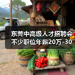 东莞中高级人才招聘会 不少职位年薪20万-30万元（图1）