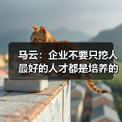 马云：企业不要只挖人 最好的人才都是培养的（图4）