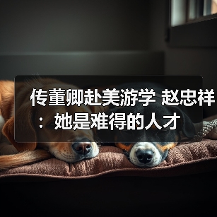 传董卿赴美游学 赵忠祥：她是难得的人才（图1）