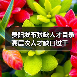 贵阳发布紧缺人才目录 高层次人才缺口过千（图2）