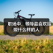 职场中，领导最喜欢提拔什么样的人（图4）