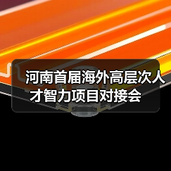 河南首届海外高层次人才智力项目对接会（图2）