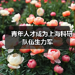 青年人才成为上海科研队伍生力军（图2）