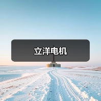 立洋电机（图1）