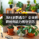 海归求职遇冷？企业招聘转向能力而非学历（图1）