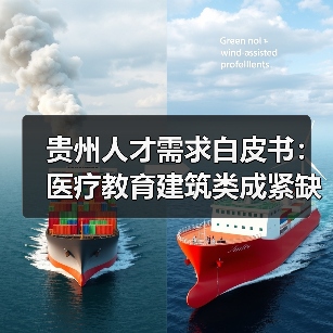 贵州人才需求白皮书：医疗教育建筑类成紧缺领域（图3）