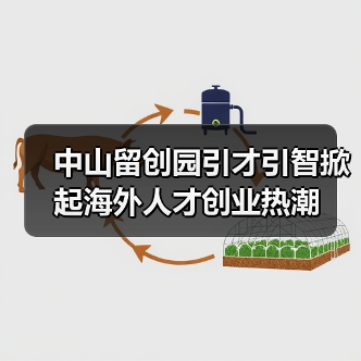 中山留创园引才引智掀起海外人才创业热潮（图4）