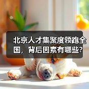 北京人才集聚度领跑全国，背后因素有哪些？（图4）