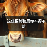 这些招聘骗局你不得不妨（图1）