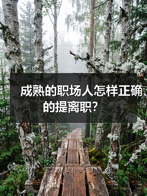 成熟的职场人怎样正确的提离职？（图4）