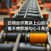 白领放弃高薪上山放羊 看不惯职场勾心斗角去归隐（图2）