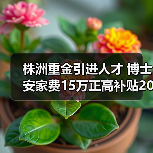 株洲重金引进人才 博士安家费15万正高补贴20万（图2）