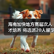 海南加快地方高层次人才培养 将选派20人留学深造（图4）
