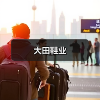 大田鞋业（图1）