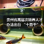 贵州省高层次培养人才办法出台 “十百千”人才“3+2+X（图2）