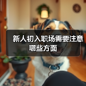 新人初入职场需要注意哪些方面（图1）