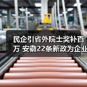 民企引省外院士奖补百万 安徽22条新政为企业寻人才（图4）