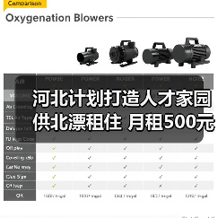 河北计划打造人才家园供北漂租住 月租500元（图2）