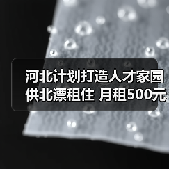 河北计划打造人才家园供北漂租住 月租500元（图3）