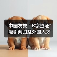 中国发放“R字签证”吸引海归及外国人才（图4）