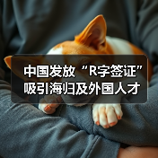 中国发放“R字签证”吸引海归及外国人才（图2）