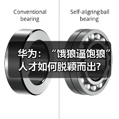 华为：“饿狼逼饱狼” 人才如何脱颖而出?（图3）