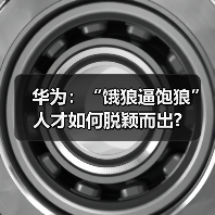 华为：“饿狼逼饱狼” 人才如何脱颖而出?（图4）