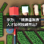 华为：“饿狼逼饱狼” 人才如何脱颖而出?（图2）