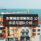 东莞精密弹簧制造 公司环境与团队介绍（图2）
