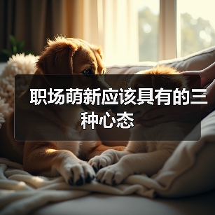 职场萌新应该具有的三种心态（图4）