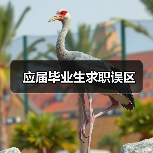 应届毕业生求职误区（图2）