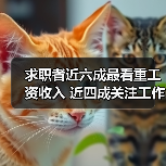 求职者近六成最看重工资收入 近四成关注工作休息时间（图3）